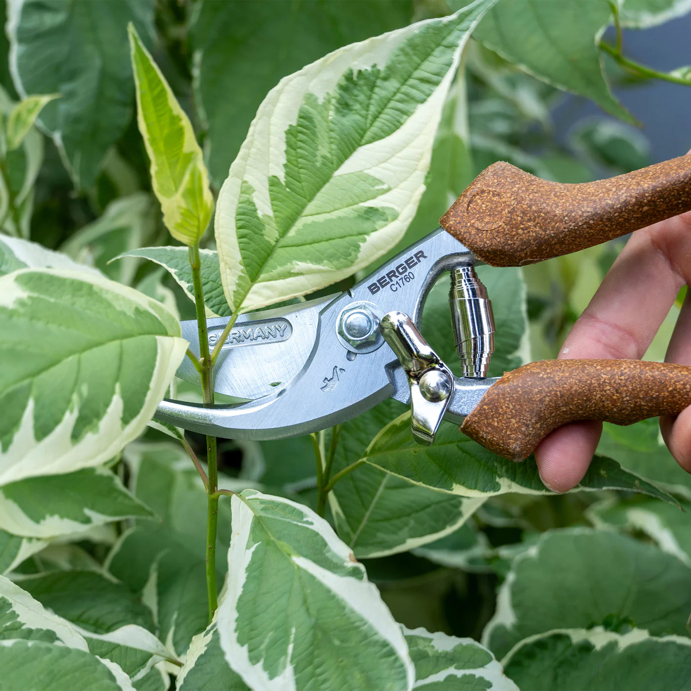 BERGER Hand shears bypass C1760 | Cork handle | Straight cutting head & forged metal body