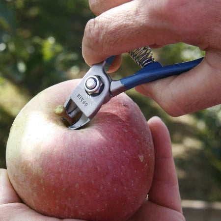 Manzana M14 Citrus & Apple Clipper