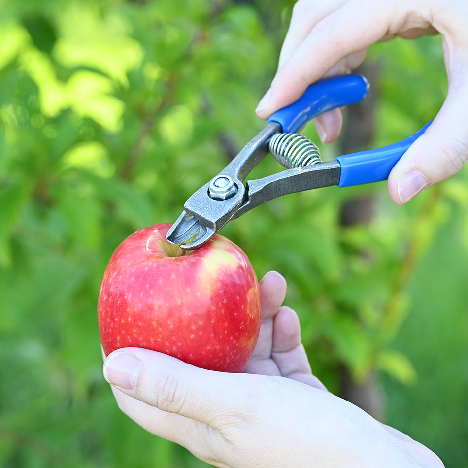Manzana M14L Citrus & Apple Clipper