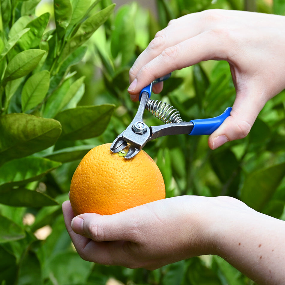 Manzana M14L Citrus & Apple Clipper