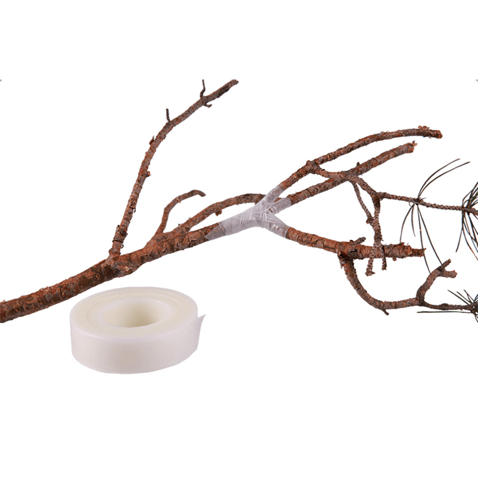 Parafilm Grafting Tape wrapped around a branch