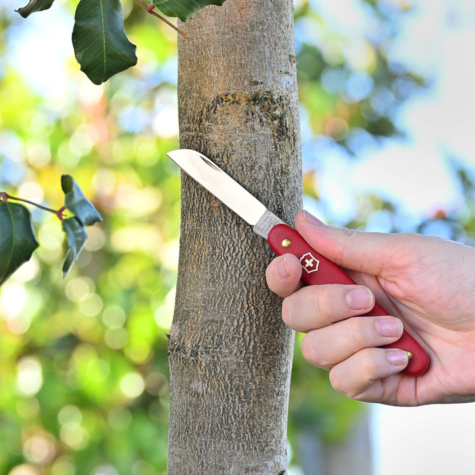 Victorinox 3.9050 Grafting Knife next to tree bark