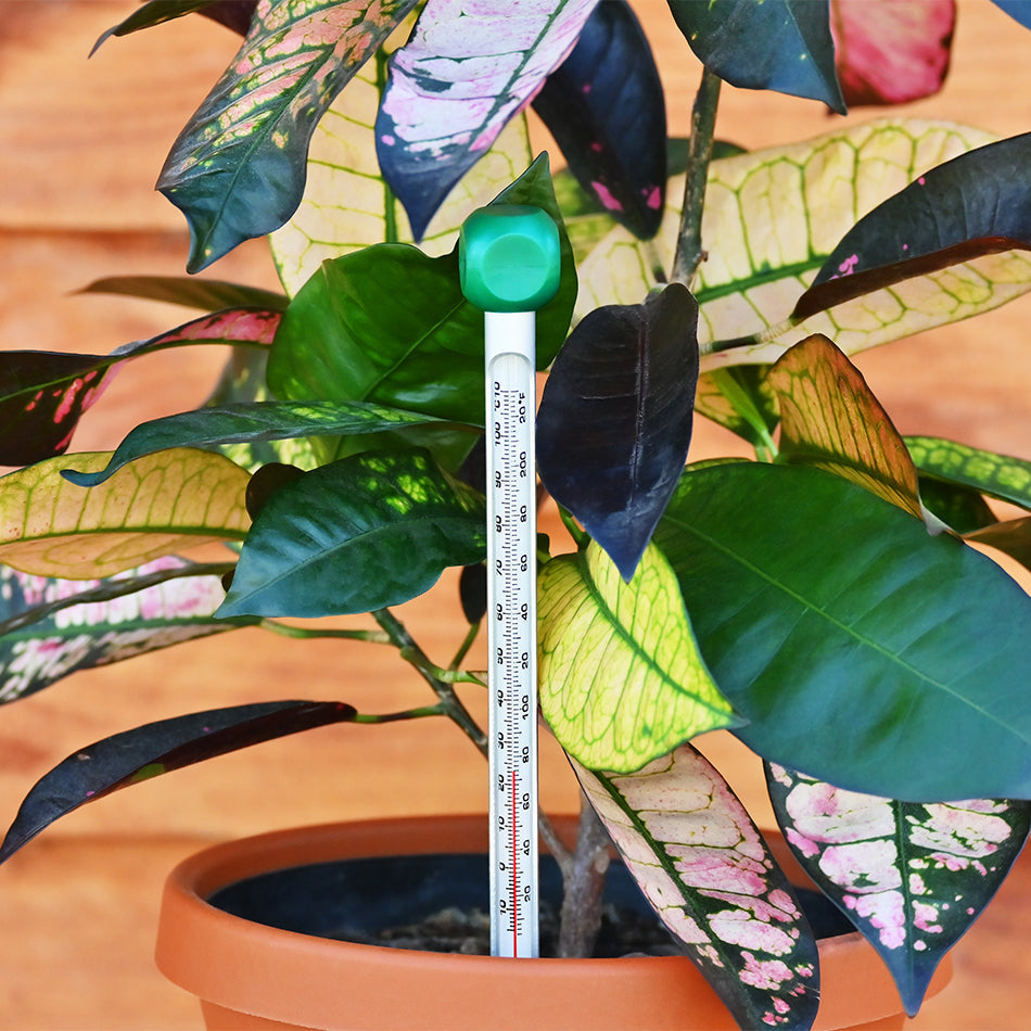 Soil Thermometer