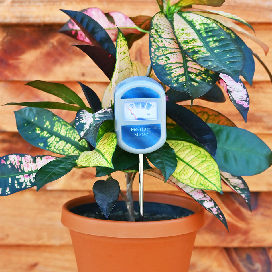 Soil Moisture Meter