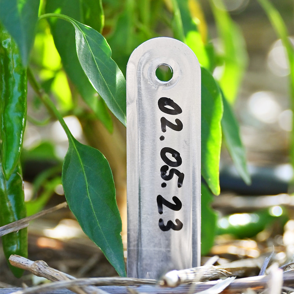 Alu Plant Sticks with Ties