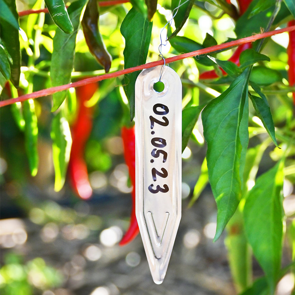 Alu Plant Sticks with Ties