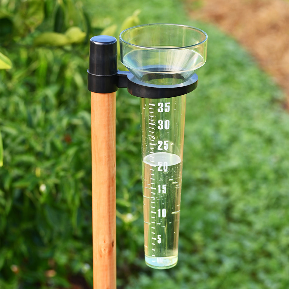 Rain Gauge