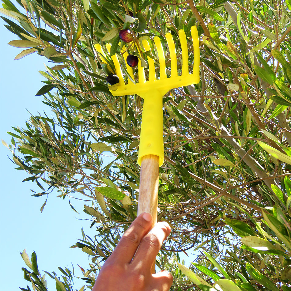 Compact Garden Rake / Olive Rake