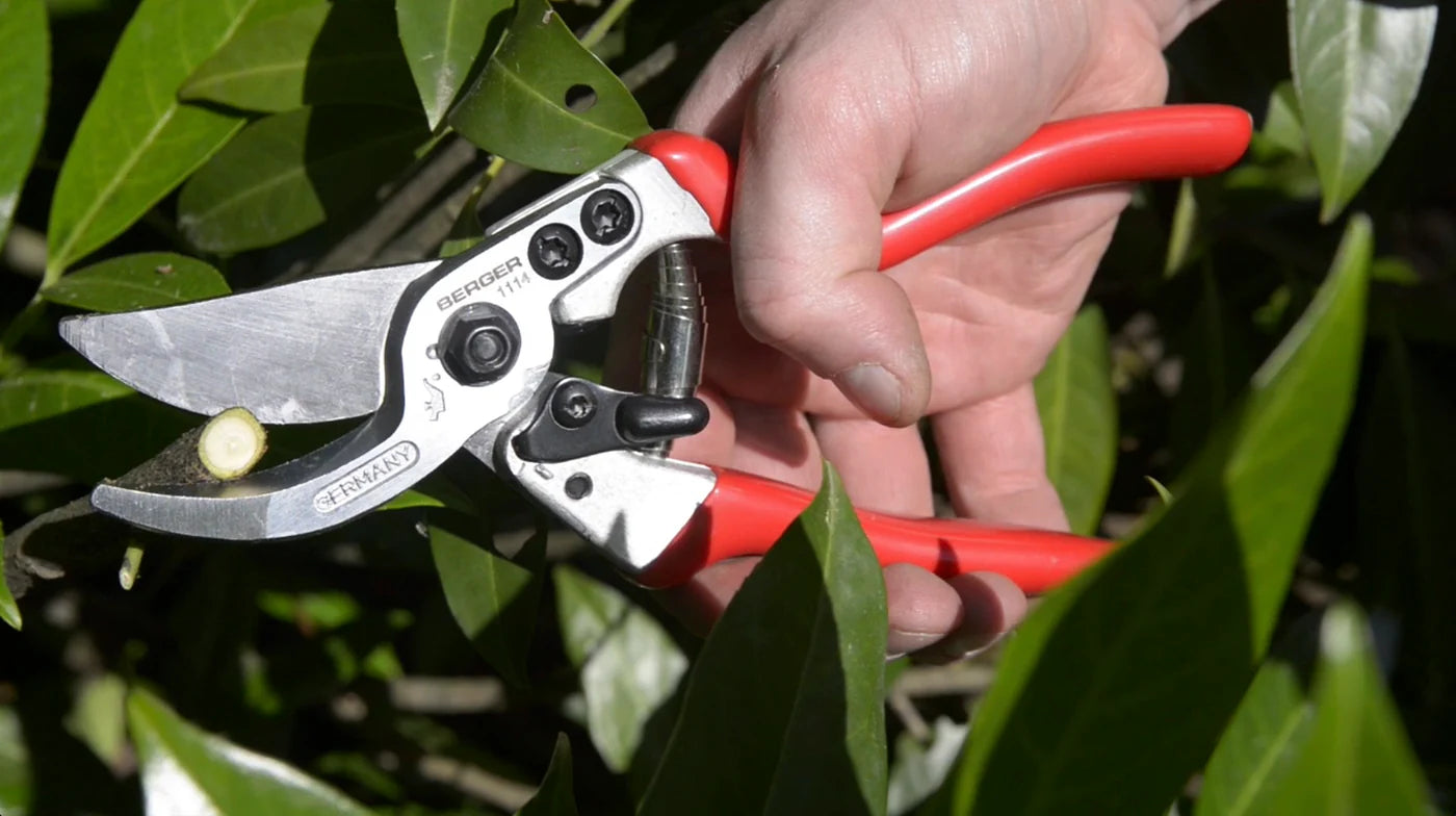 BERGER PROFESSIONAL PRUNING SHEAR / ALUMINUM / ANGLED BLADE #1114