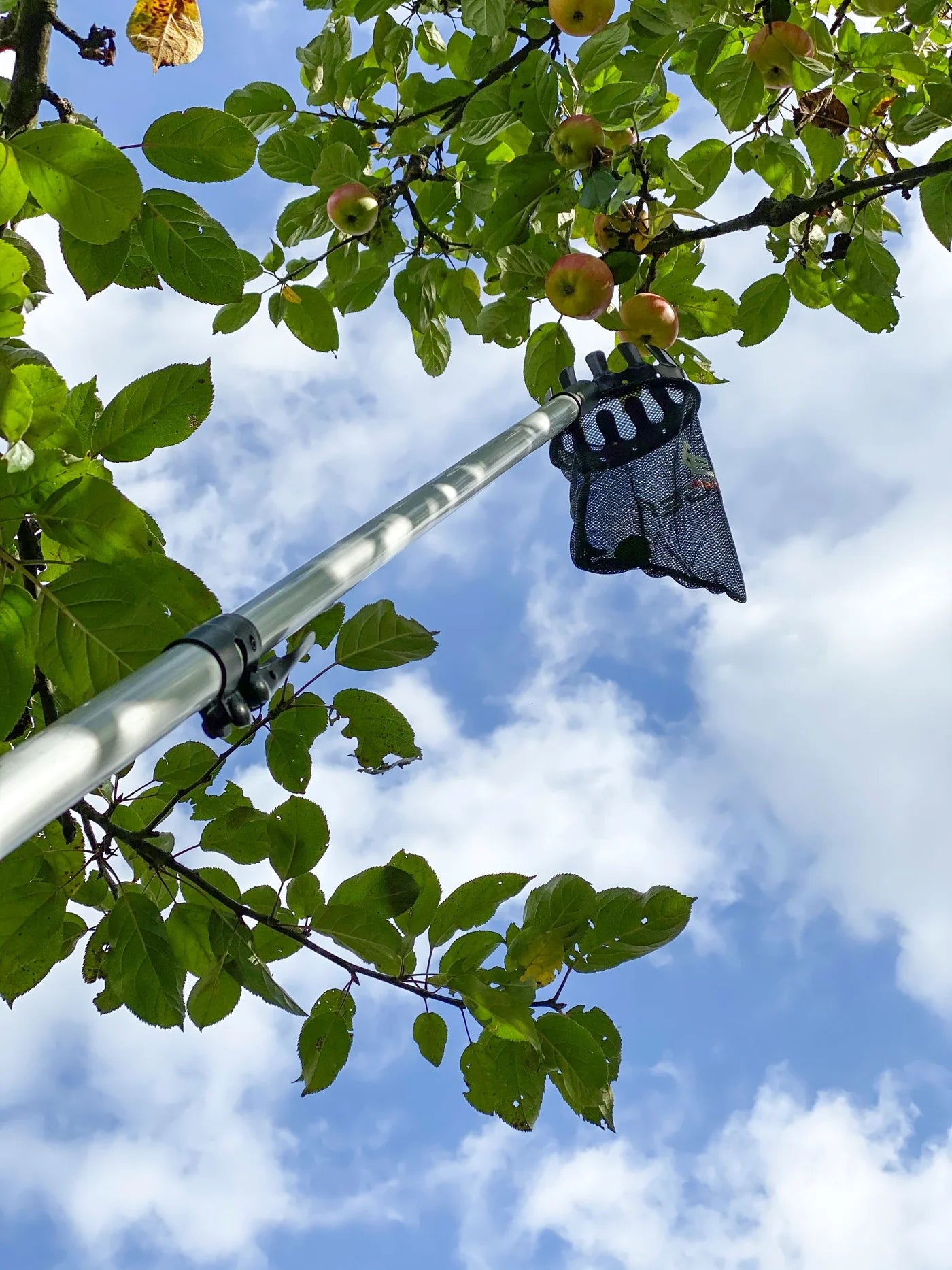 BERGER ARBORAPID FRUIT PICKER #5440