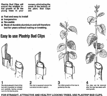 Bud Clips Aluminium 1000Box