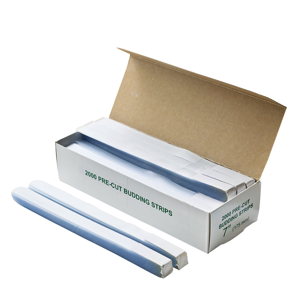 Budding & Grafting Strips 175mm