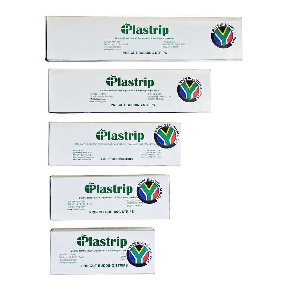 A group photo to show a size comparison between the different budding strip boxes.