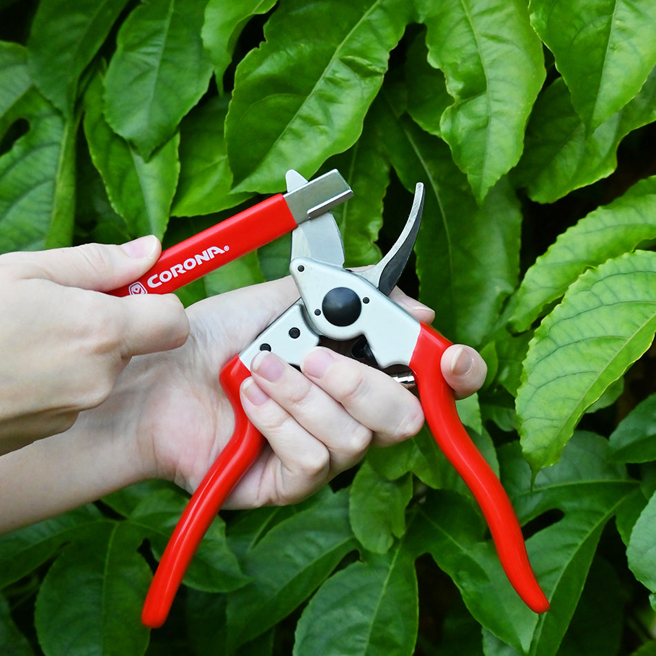 Corona Sharpener used to sharpen pruning shear's blades