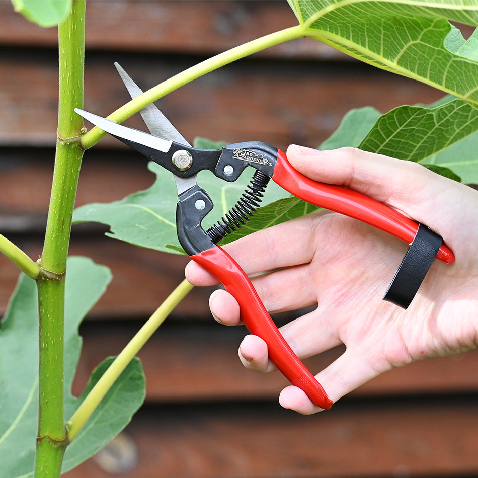 DURA Snip Long Curved Blade used to cut leaf from plant