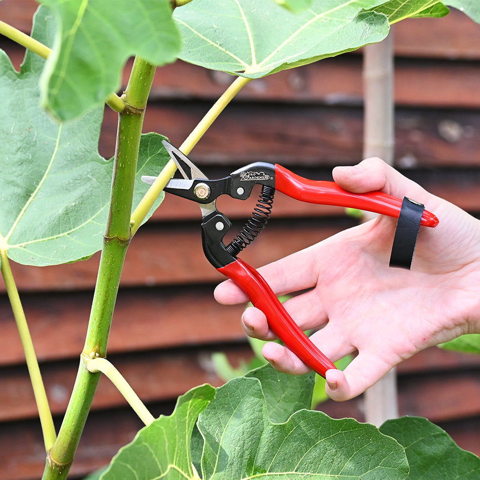 DURA Snip Short Serrated Blade used to cut leaf from plant