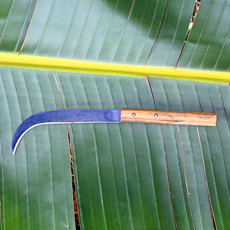 Okapi Banana Knife on leaf