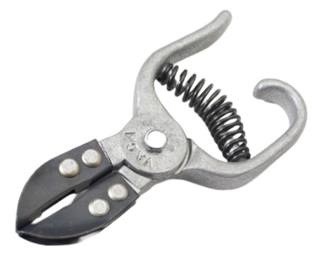 Cane Girdling Tool