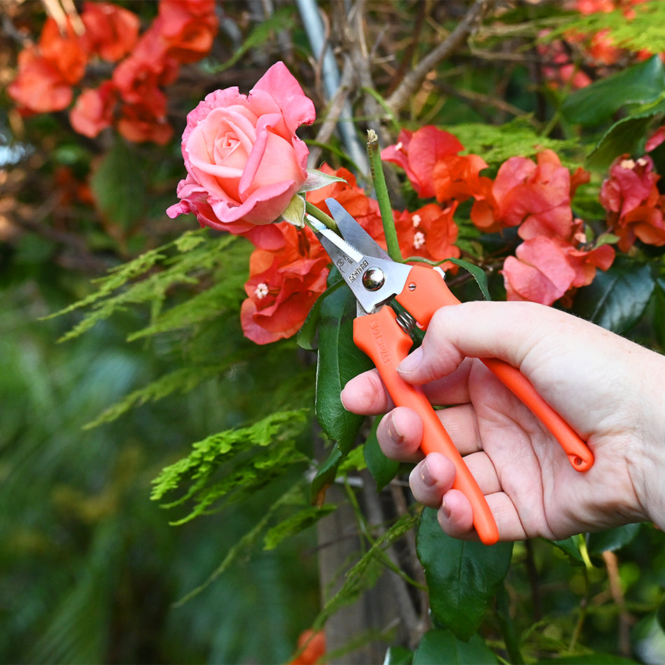 Stainless Steel Snips cutting rose stem