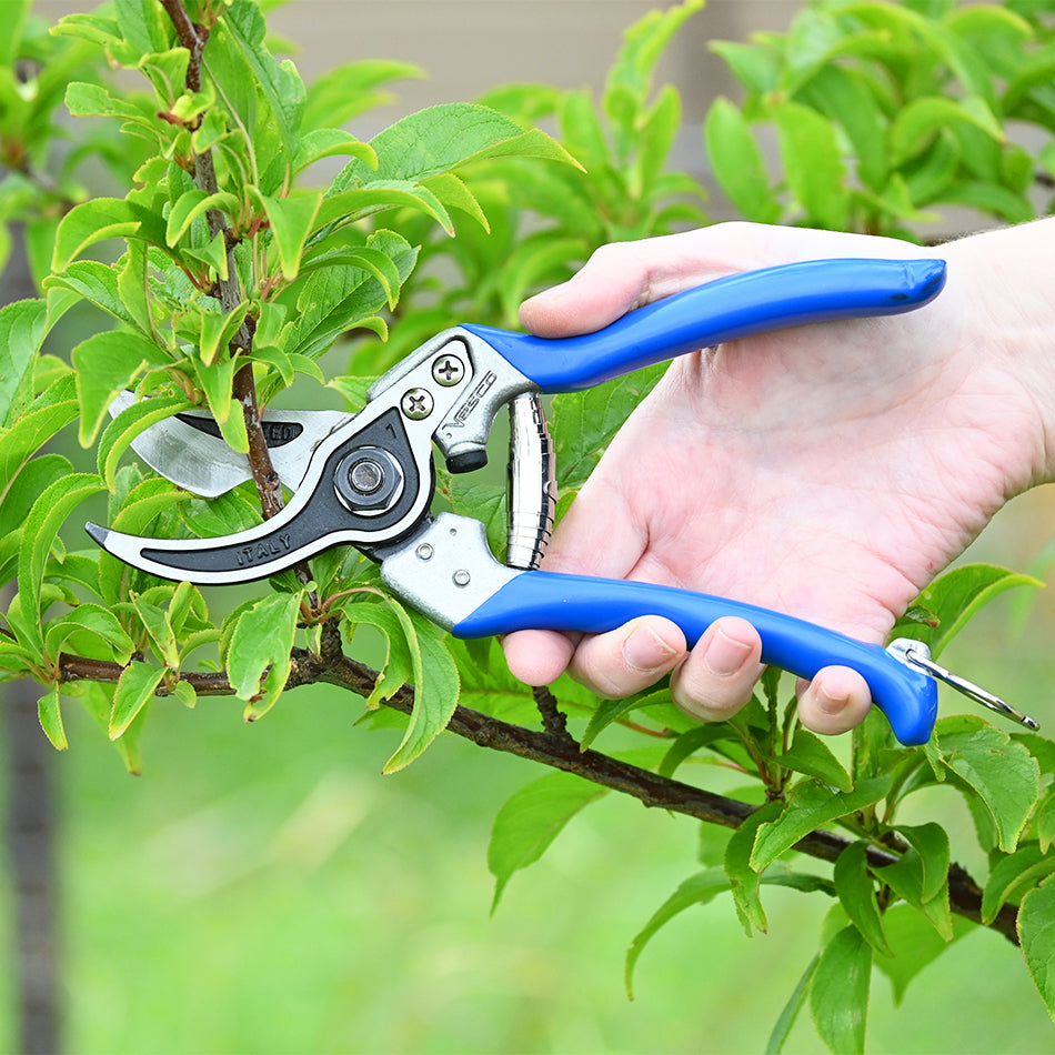 Vesco A10 Multi-Purpose Pruning Shear used to prune fruit tree