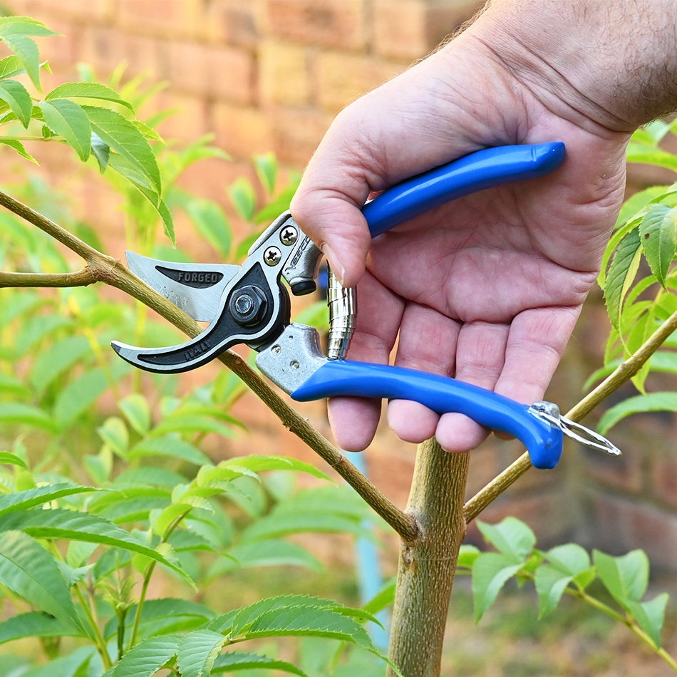 Vesco A1 Bypass Pruning Shear used to prune fruit tree