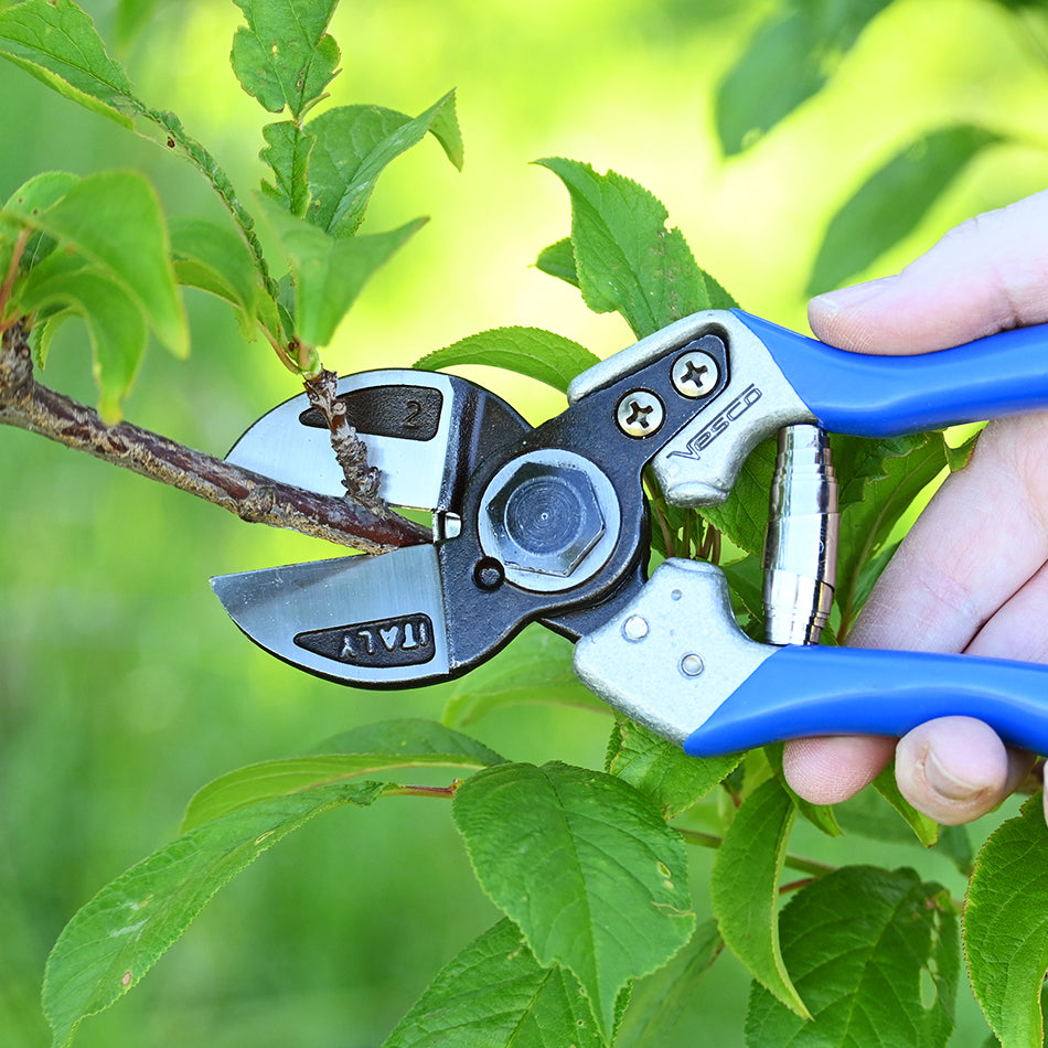 Vesco A2 Double-Cut Pruning Shear cutting fruit tree