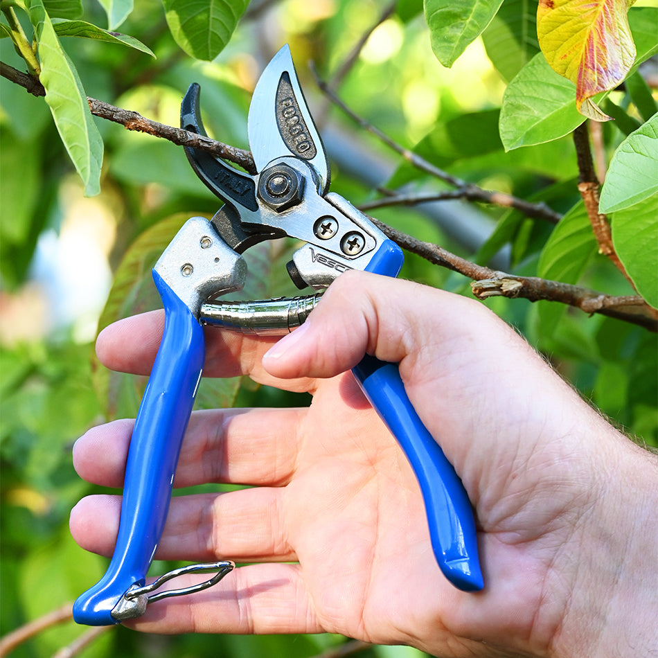 Vesco A3 Short Blade Pruning Shear cutting branch of a fruit tree