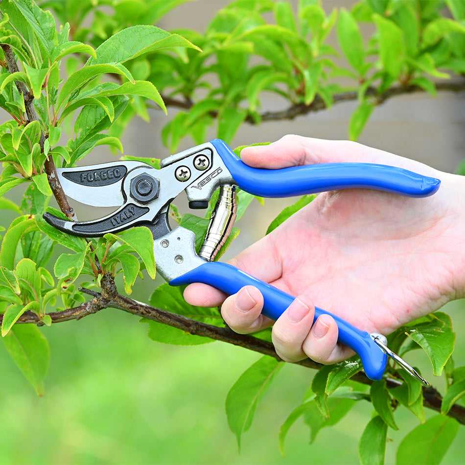 Vesco A3 Short Blade Pruning Shear pruning a fruit tree