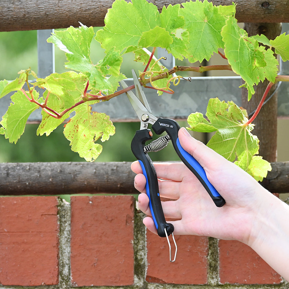 Vesco B2 Grape Harvesting & Bonsai Trimming Shear used to trim grape vine