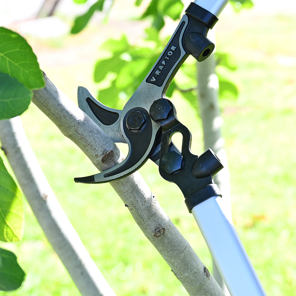 Vesco V60 Bypass Lopper with Lever blade close-up