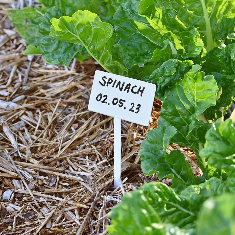 Angled T-Labels