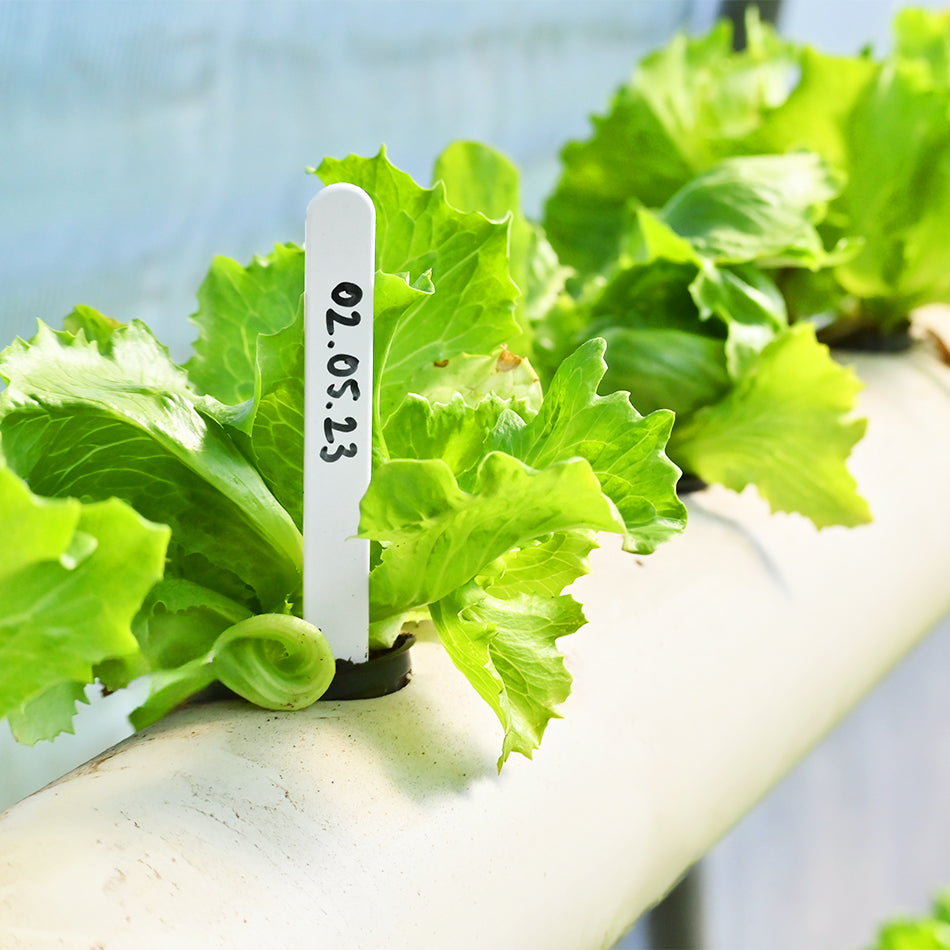 Plastic Plant Labels & Garden Marker Pen