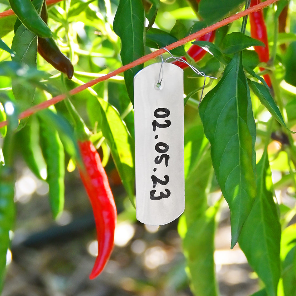 Aluminium Labels with Ties