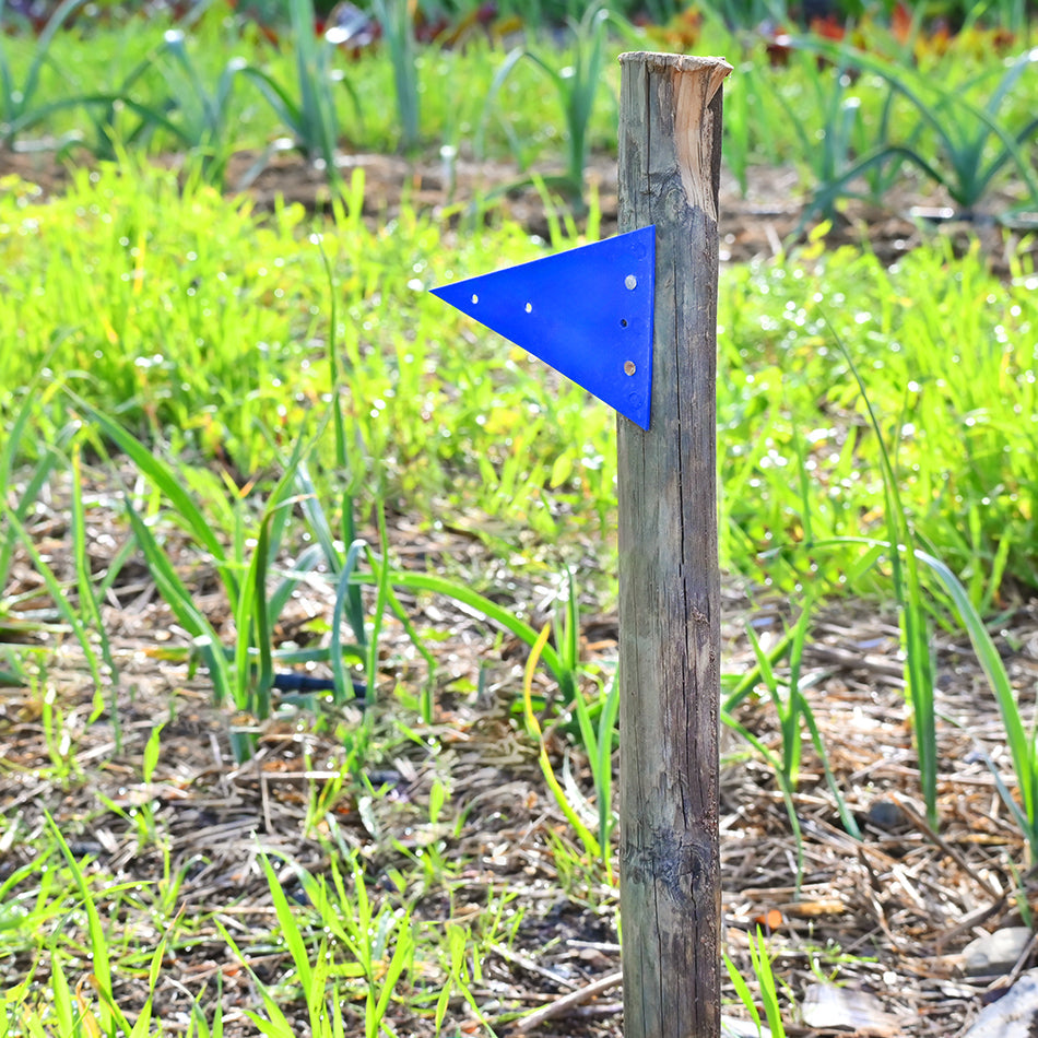 Triangle Markers