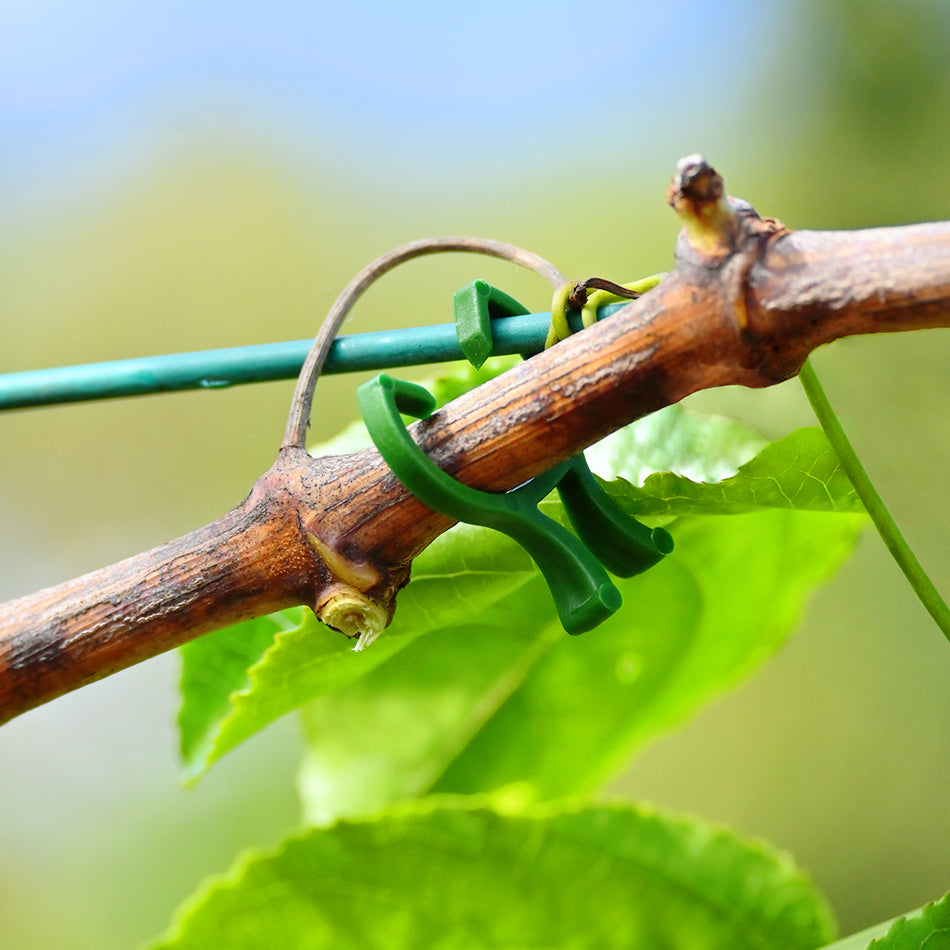 Plant Clips