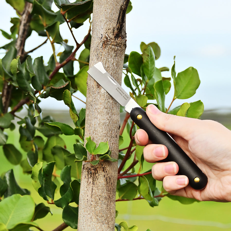 Budding Knife