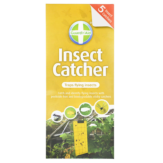Insect Catcher